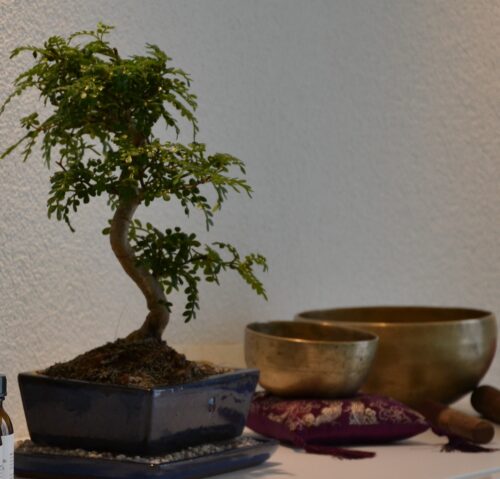 bonsai-klangschalen